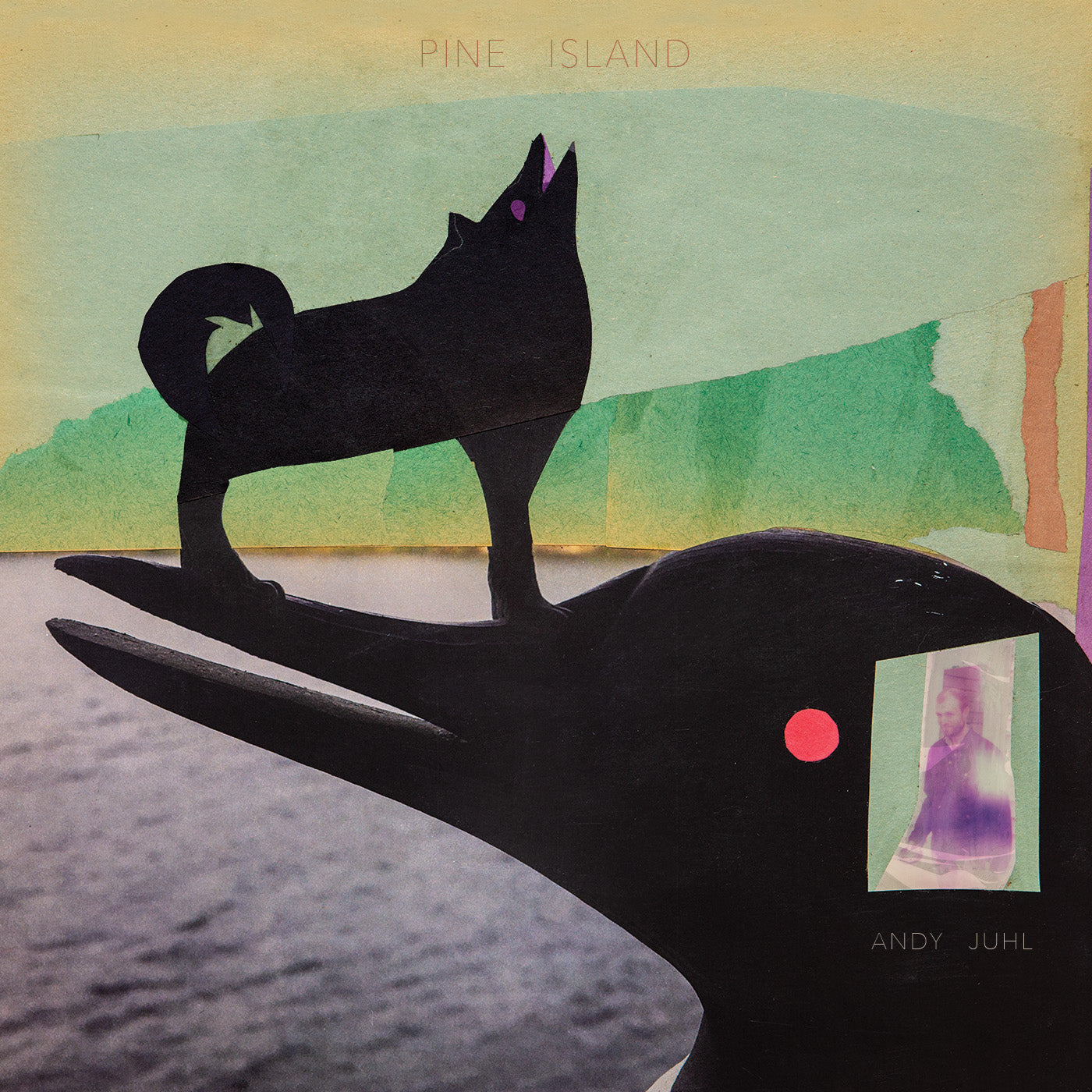 Pine Island - CD - $10